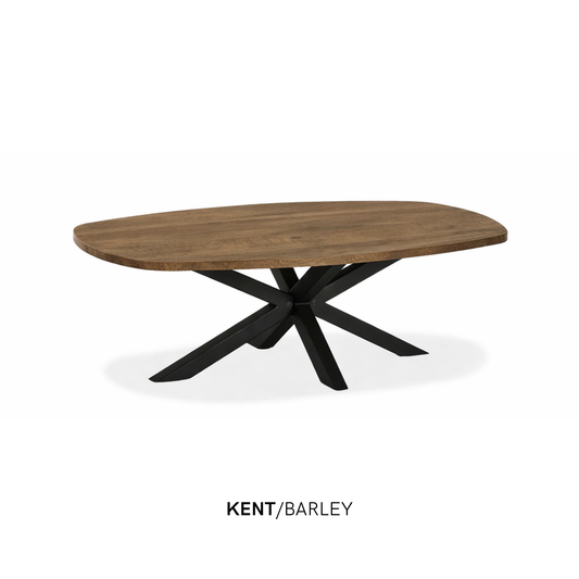 Deens ovale Lamulux salontafel "Kent" - zeer kras bestendig!