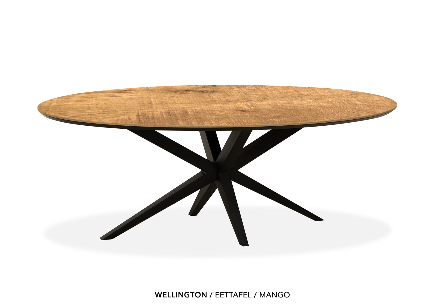 Ovale Lamulux eettafel "Wellington" - zeer kras bestendig!