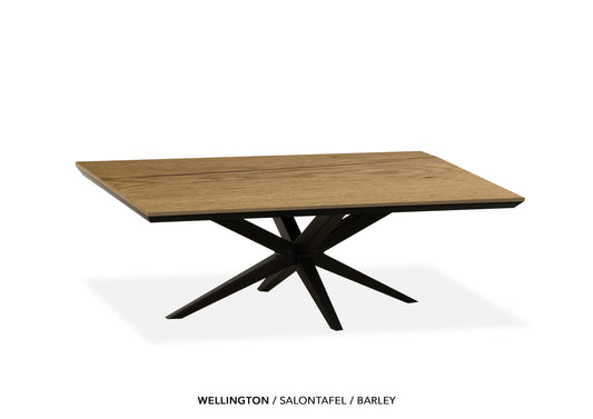 MX-sofa Lamulux salontafels "Wellington" recht - zeer kras bestendig!